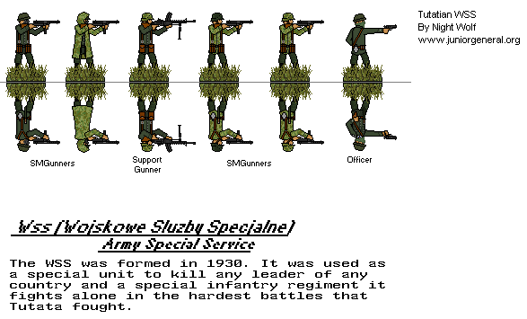 Wss (Wojskowe Sluzby Specjalne) Army Special Forces